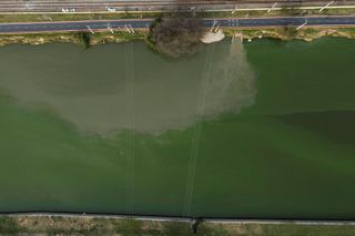 Aerial view of algae pollution in the Pinheiros River in Sao Paulo, Brazil, taken on September 9, 2024.